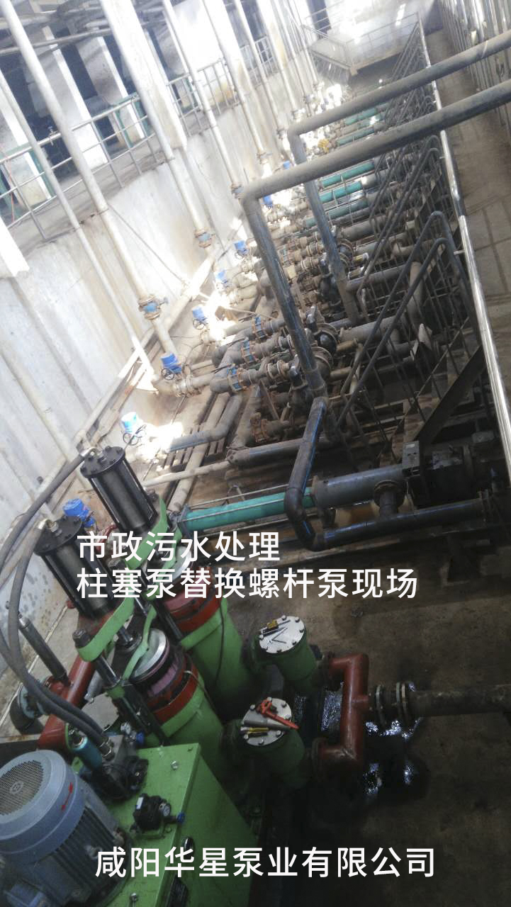 柱塞泵替代螺杆泵,隔膜泵现场